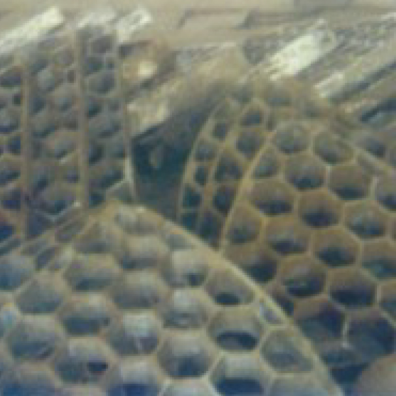 Honeycomb paneler